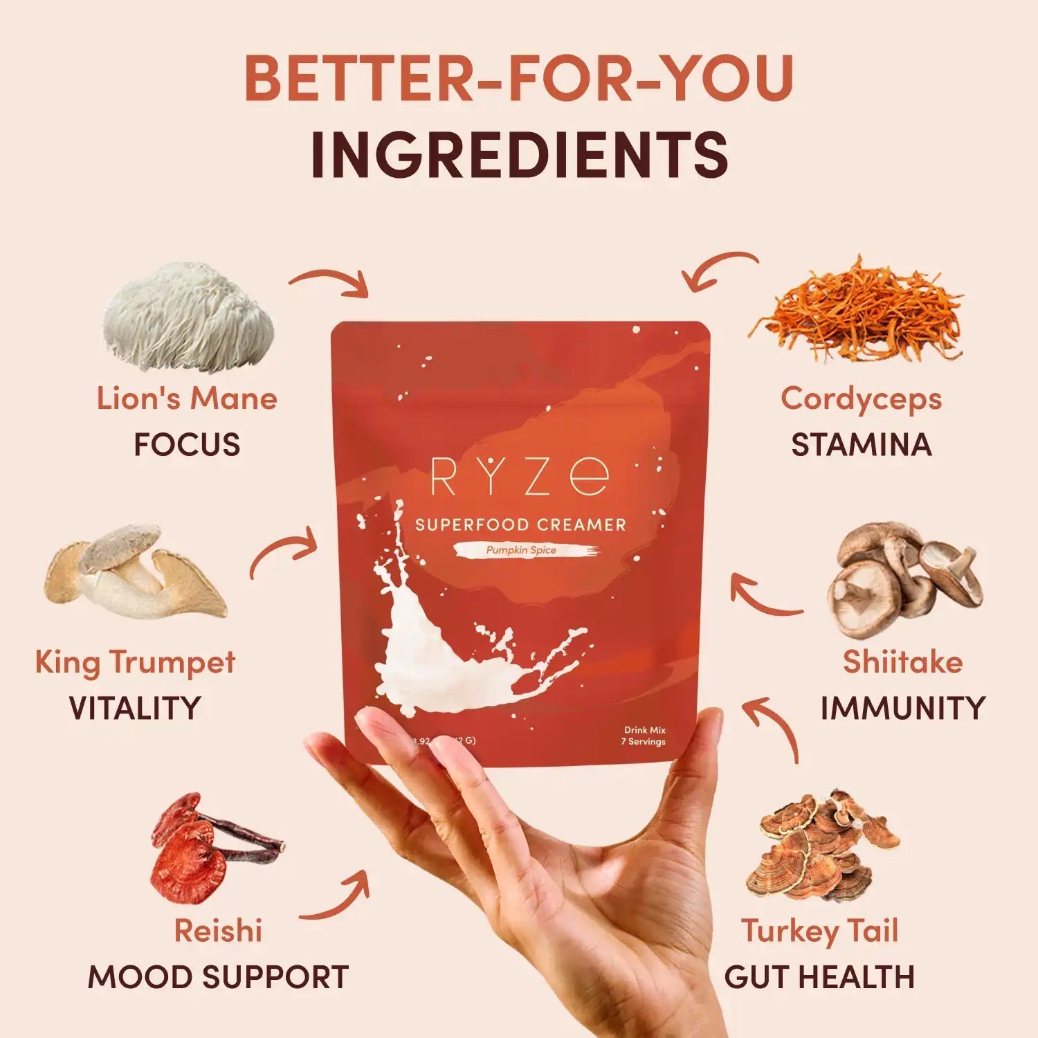 Pumpkin Spice Superfood Creamer Add On - Rich Blend