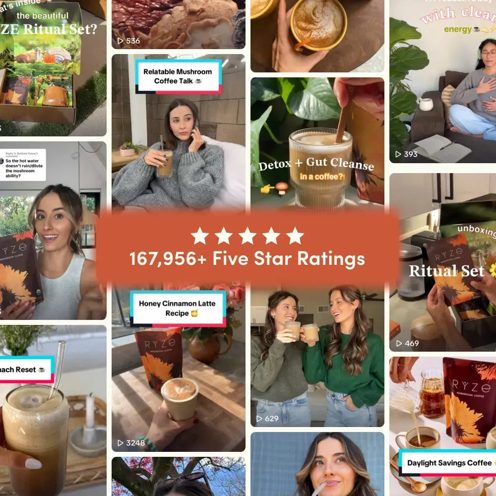 Mushroom Coffee Starter Kit 60 Serving - First Sip