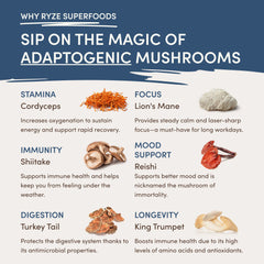 RYZE Nighttime Mushroom Cocoa Starter Bag - Everyday Tote