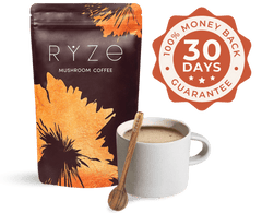 Chai Gift Set Bundle - Smooth Pour