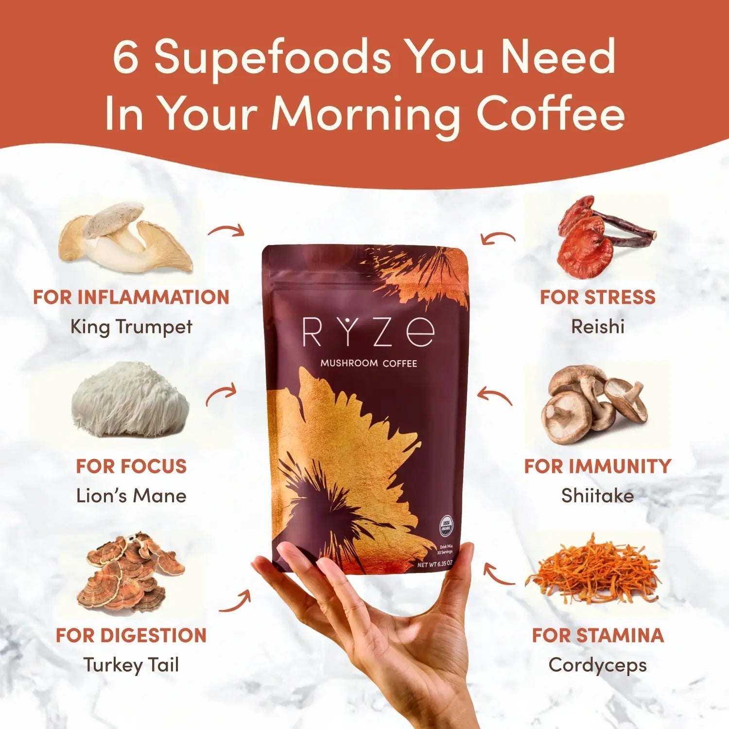 Mushroom Coffee (1 pack - 30 Servings) - Daily Brew