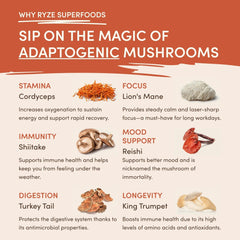 Mushroom Coffee (1 pack - 30 Servings) - Daily Brew