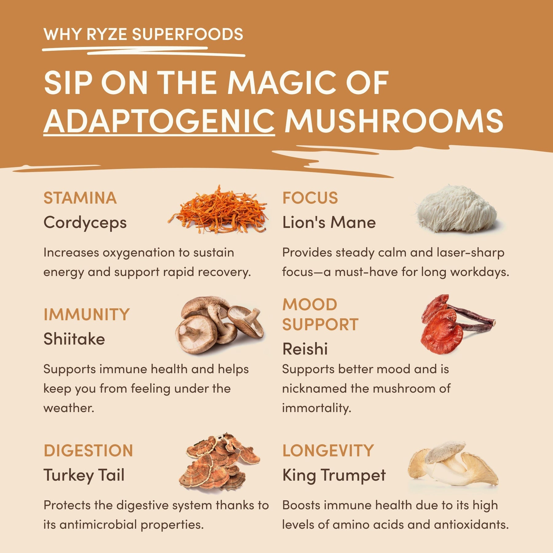 Mushroom Overnight Oats 14 Servings - Home Pantry