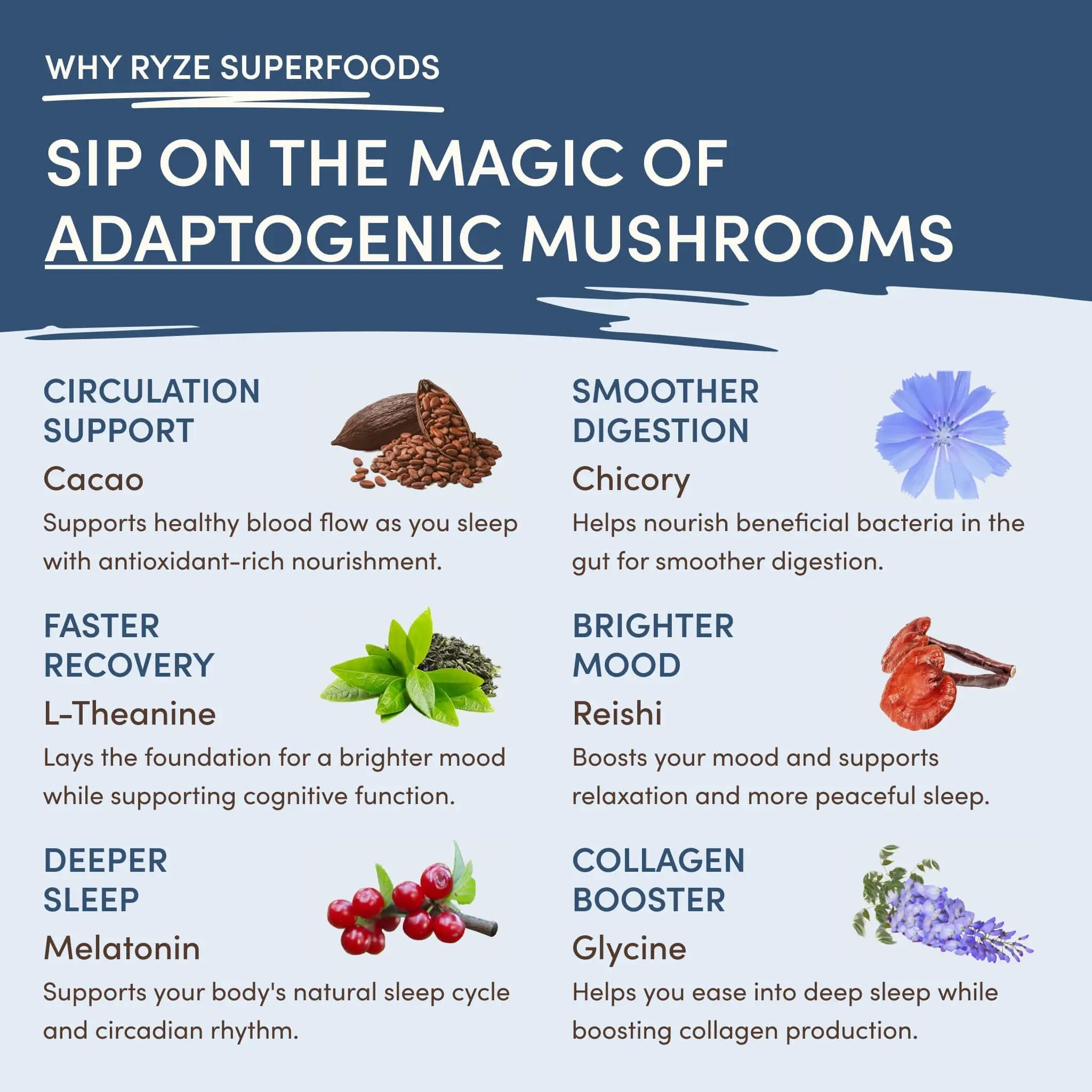 Ultimate Day + Night Bundle (Coffee + Matcha + Cocoa) - Warm Blend