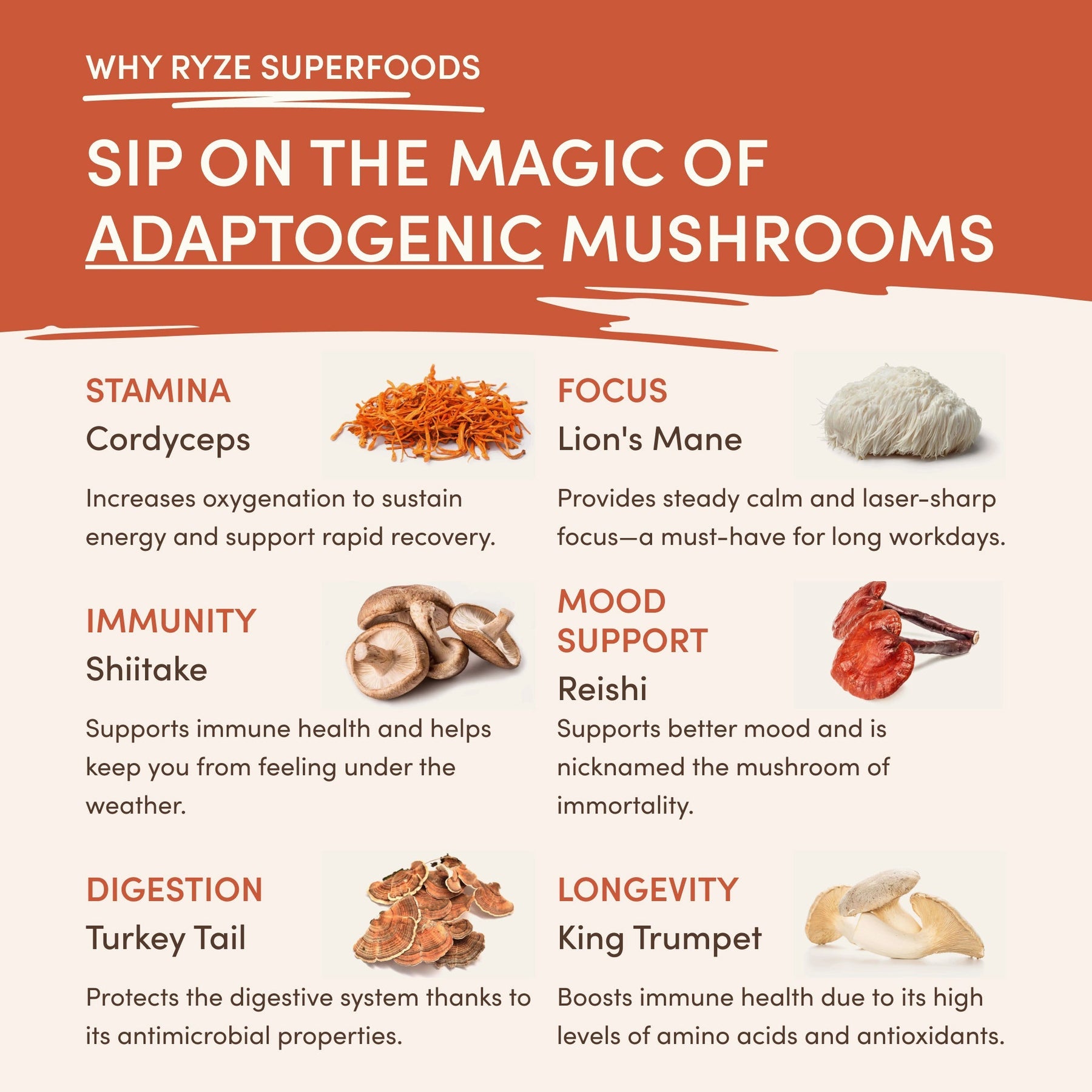 Superfood Creamer Add On - Smooth Blend