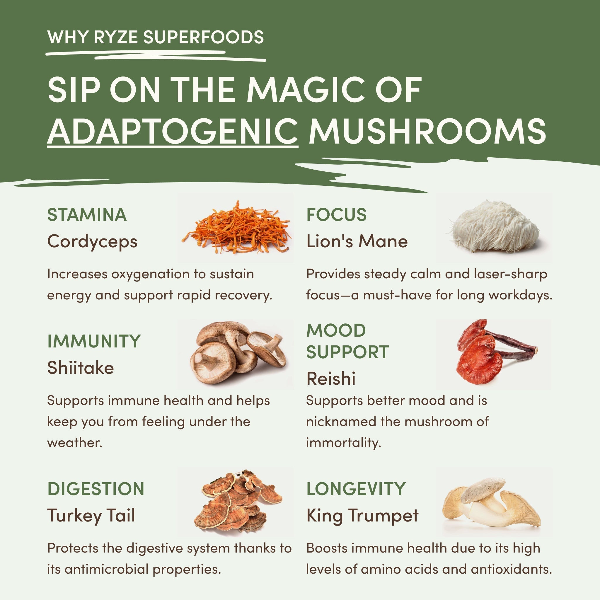 Mushroom Matcha (1 Pack - 30 Servings) - Zen Start