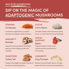 Mushroom Chai (20 Servings) - Morning Chai