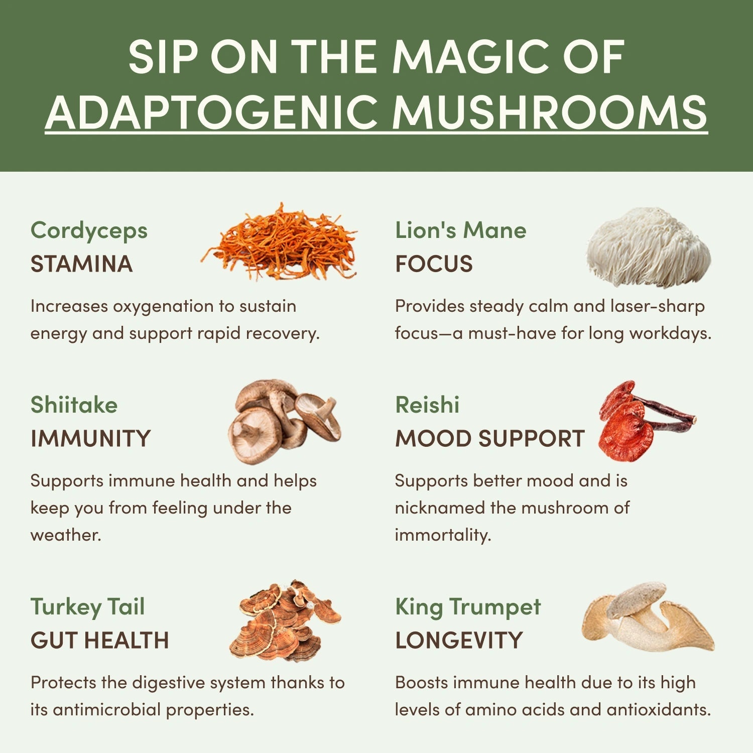 Mushroom Matcha Starter Kit (60 Servings) - First Sip