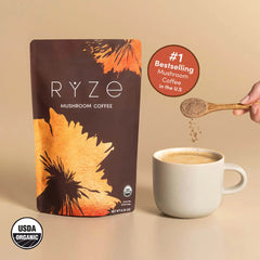 Mushroom Coffee (1 pack - 30 Servings) - Daily Brew