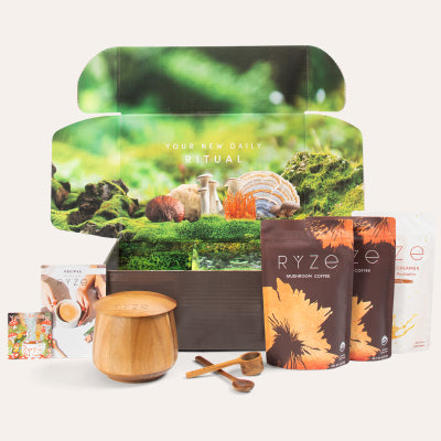 Mushroom Coffee Ritual Set (6 Month Plan) - Ready Combo