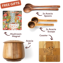 Cocoa Gift Set Bundle - Easy Pick