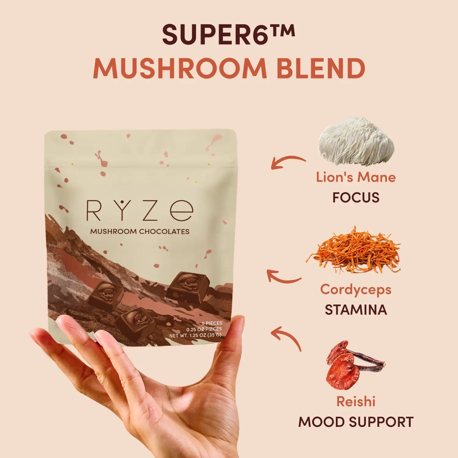 Mushroom Chocolates Rye (15 pieces) - Ready Set