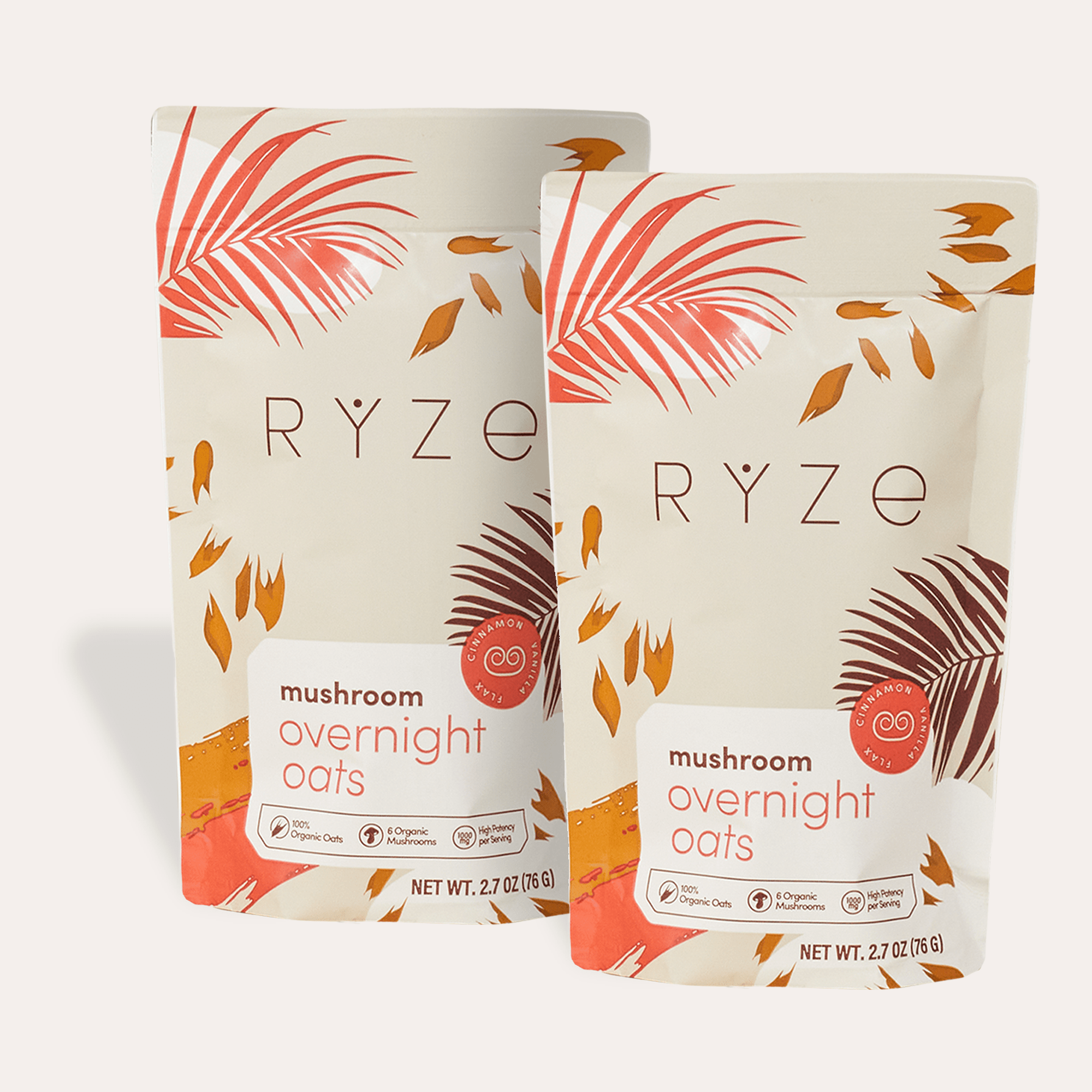 Mushroom Overnight Oats Pack (28 Servings) - Easy Spoon
