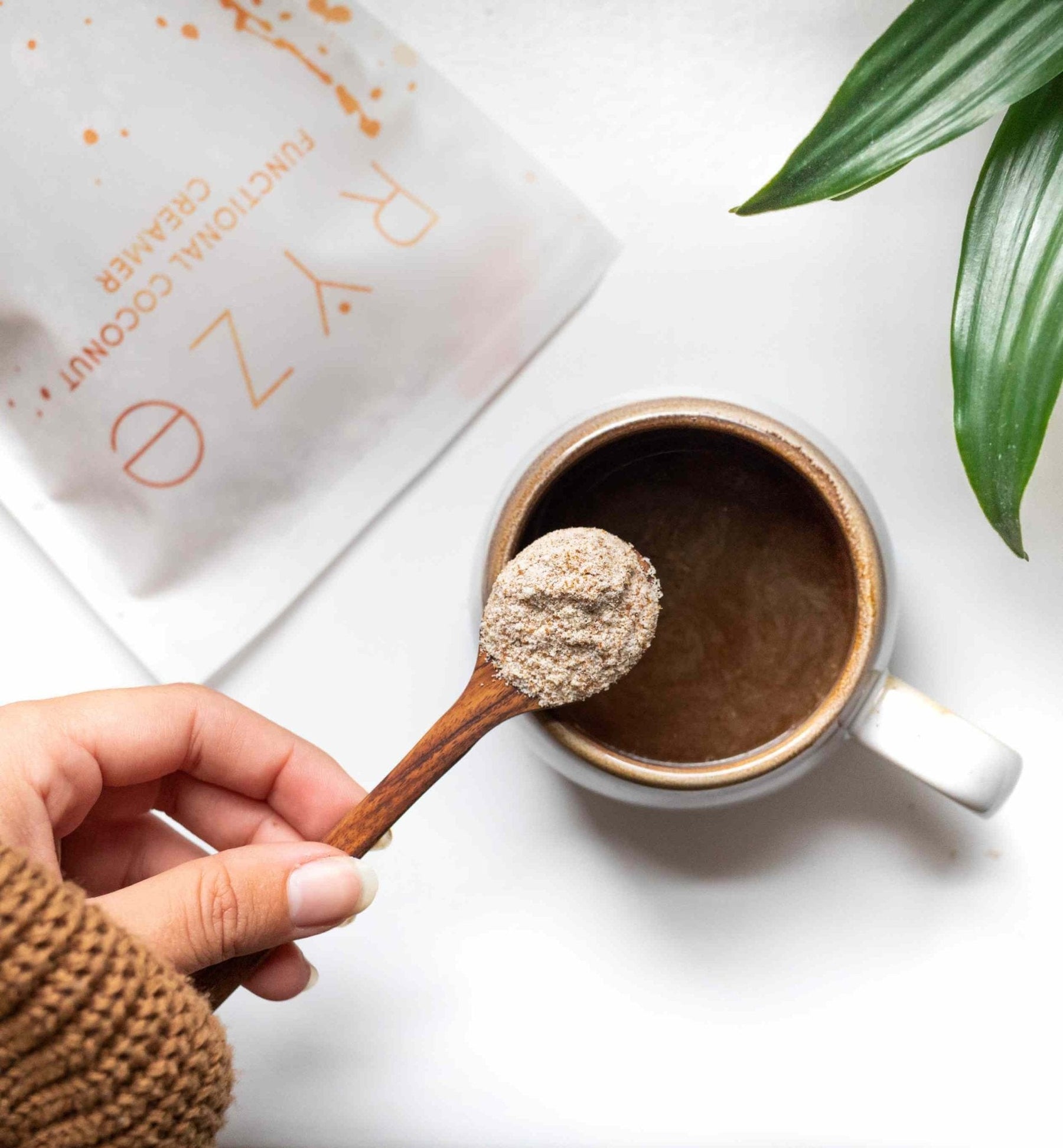 Probiotic Creamer - Morning Stir