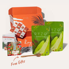 RYZE Organic Mushroom Matcha Starter Kit (60 servings) - Ready Kit