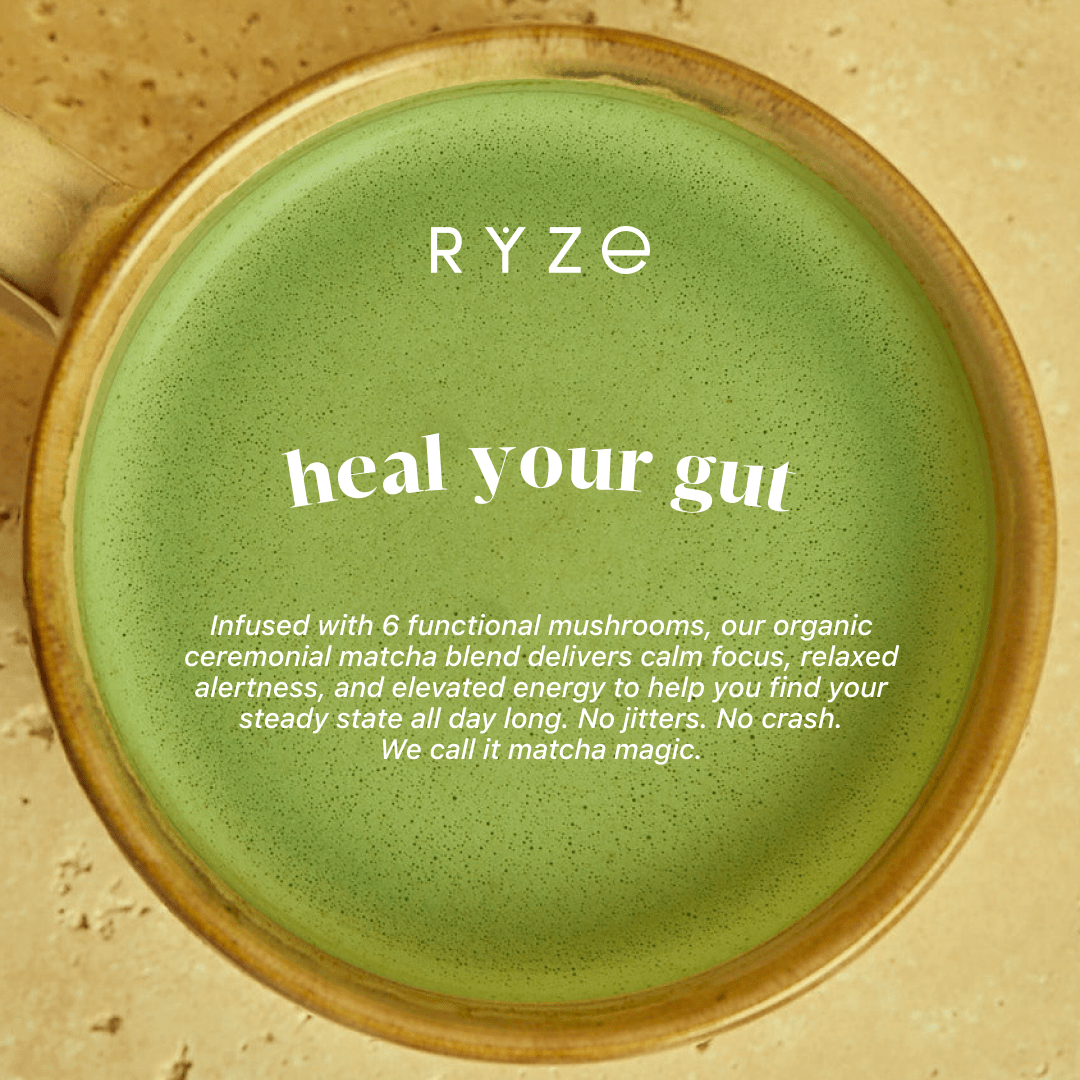 RYZE Organic Mushroom Matcha Starter Kit (60 servings) - Ready Kit