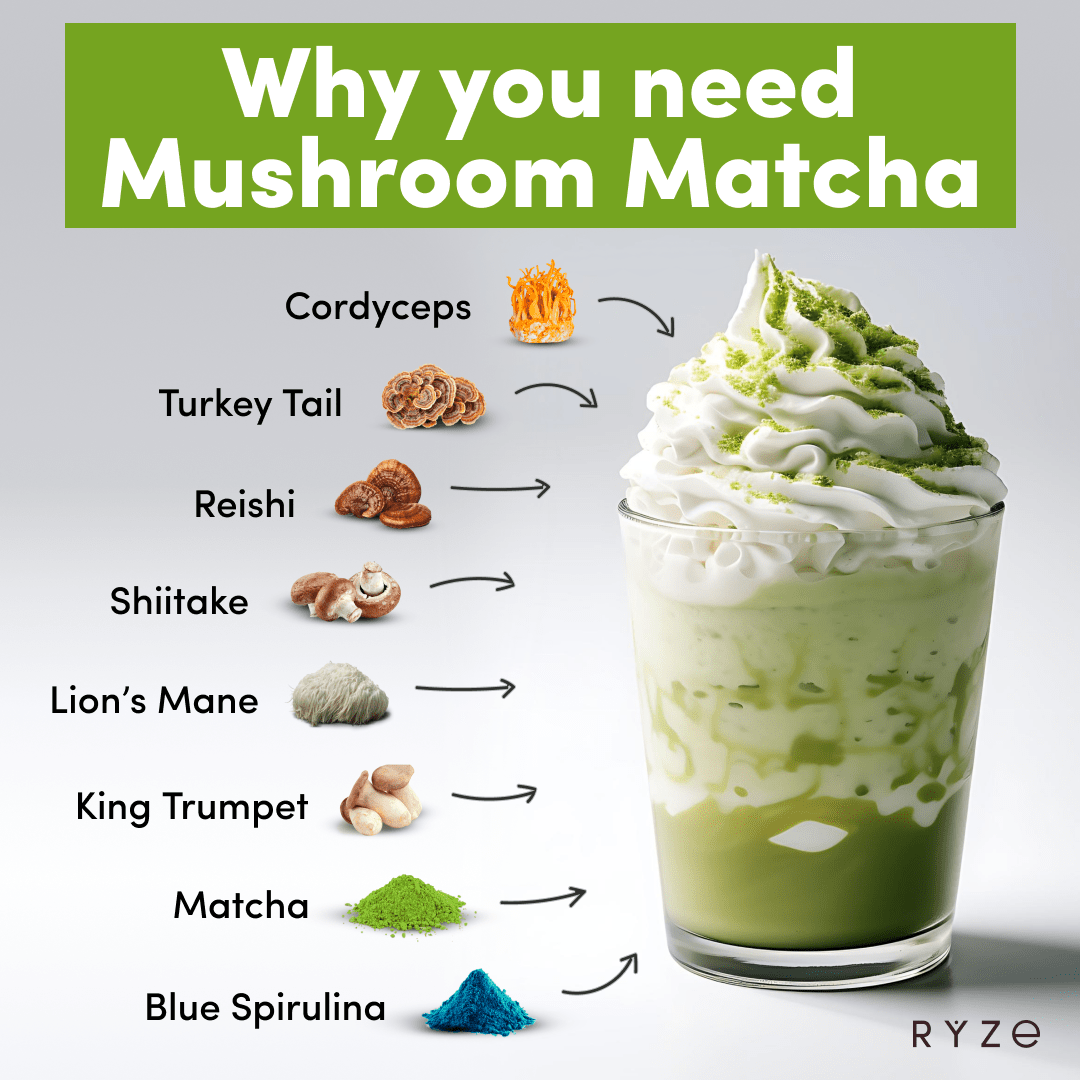 RYZE Organic Mushroom Matcha Starter Kit (60 servings) - Ready Kit